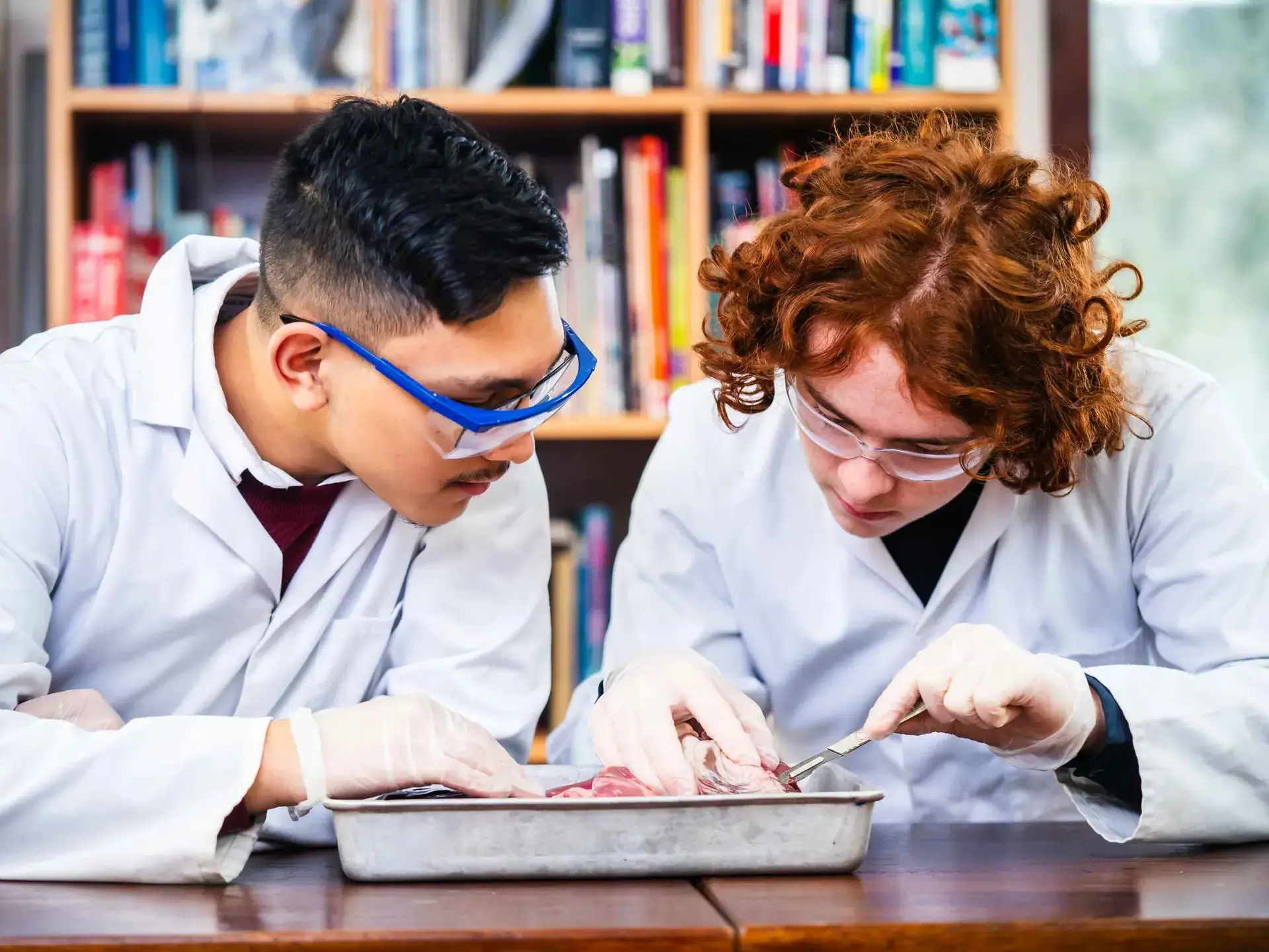 Students in Biology lesson