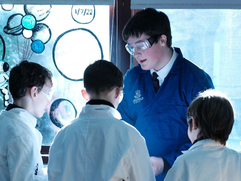 OriginalImage,,,Original