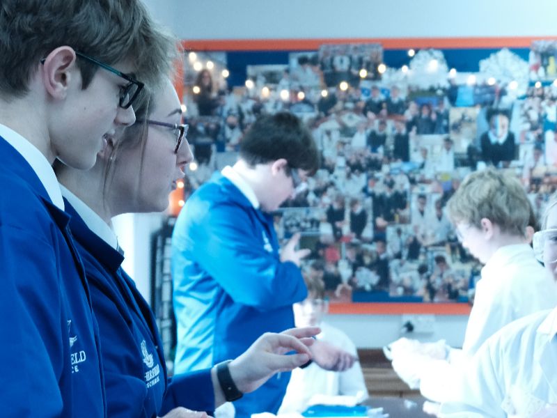 OriginalImage,,,Original