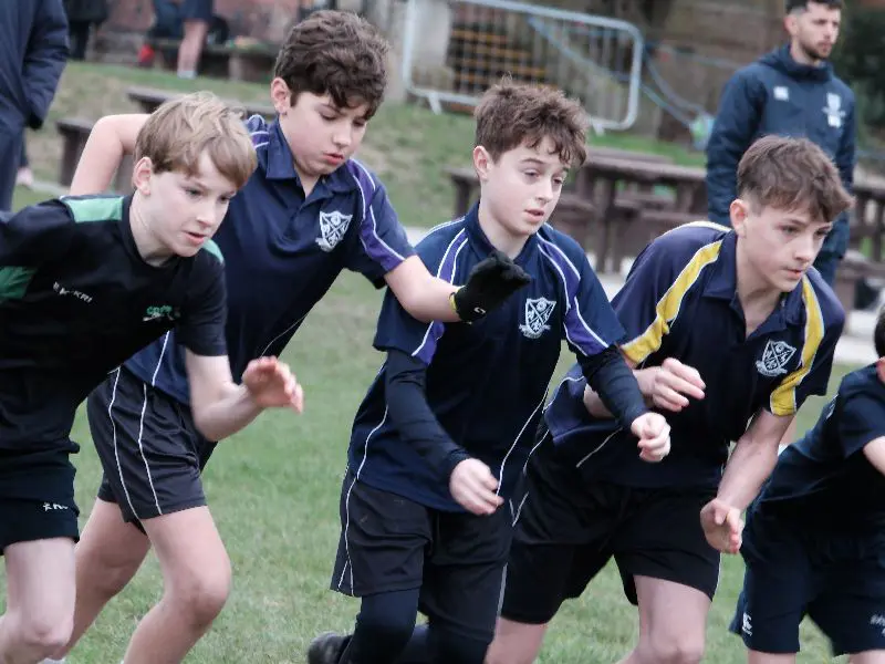  OptimizedImage,,,Optimized