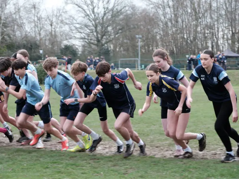  OptimizedImage,,,Optimized