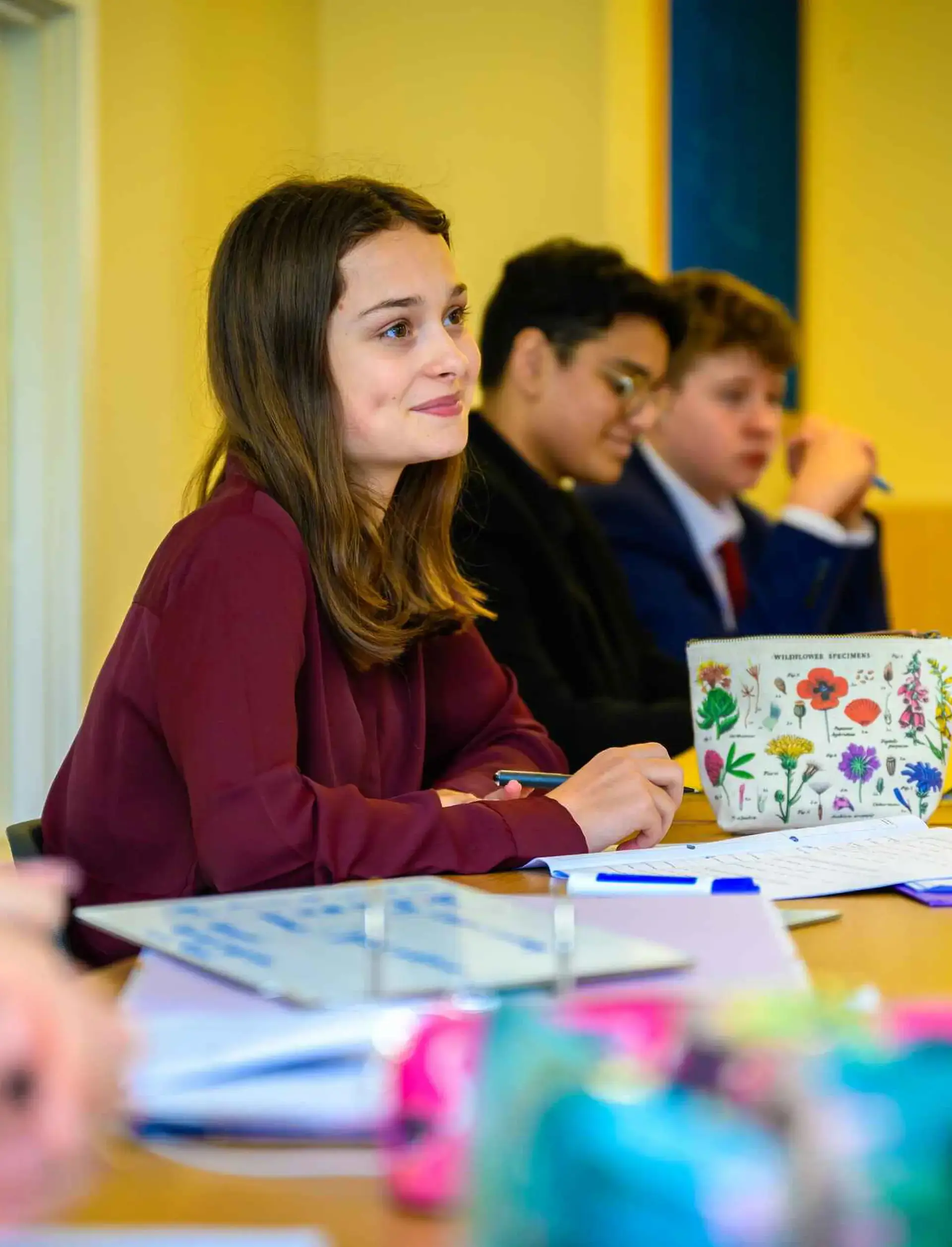 Student in History lesson