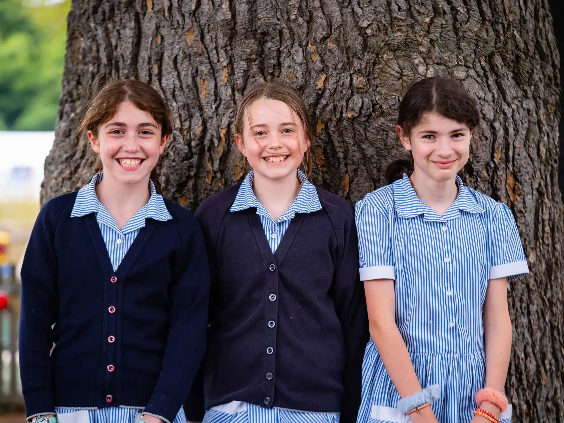 Three students smiling in front of a large tree trunk