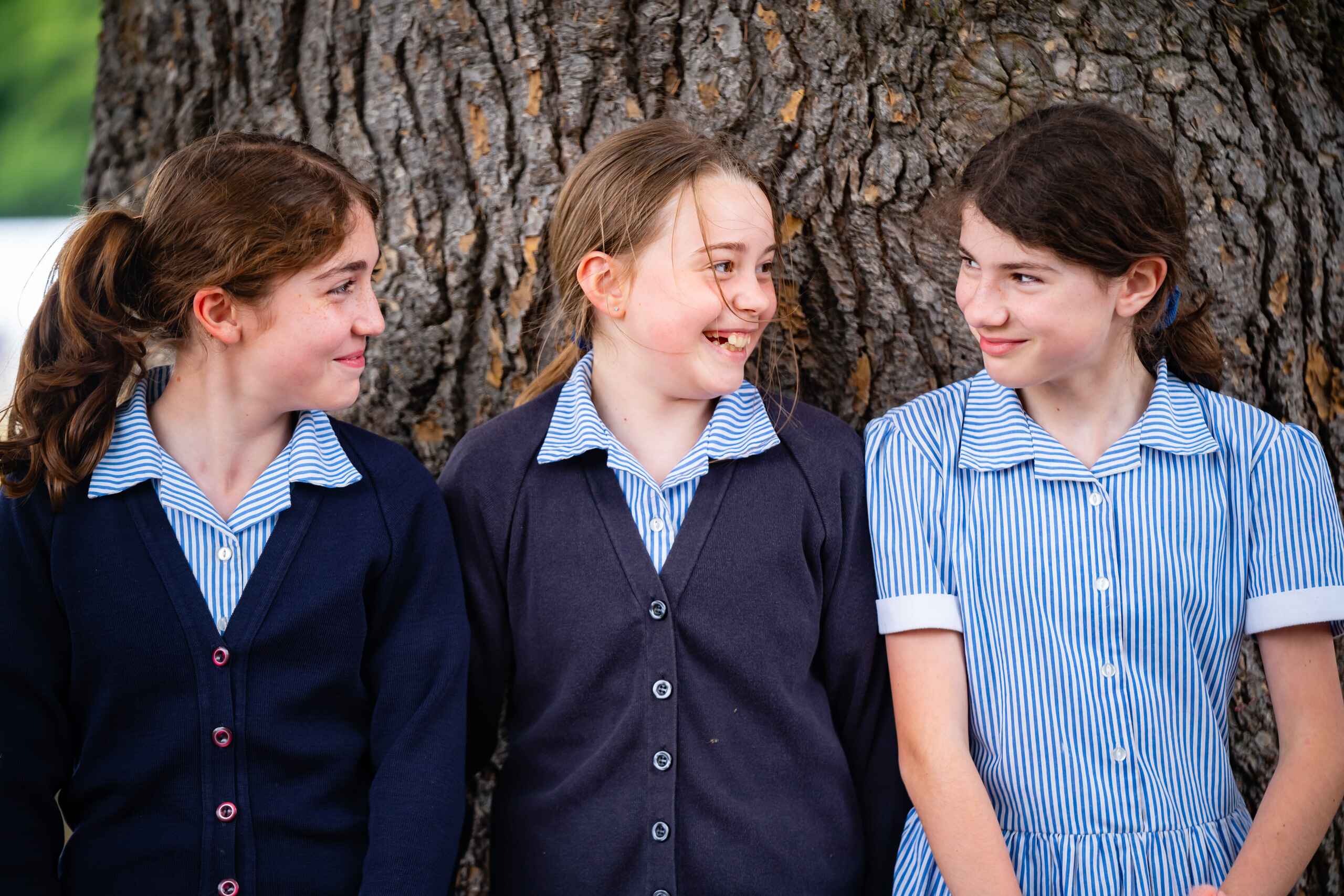Students talking against tree