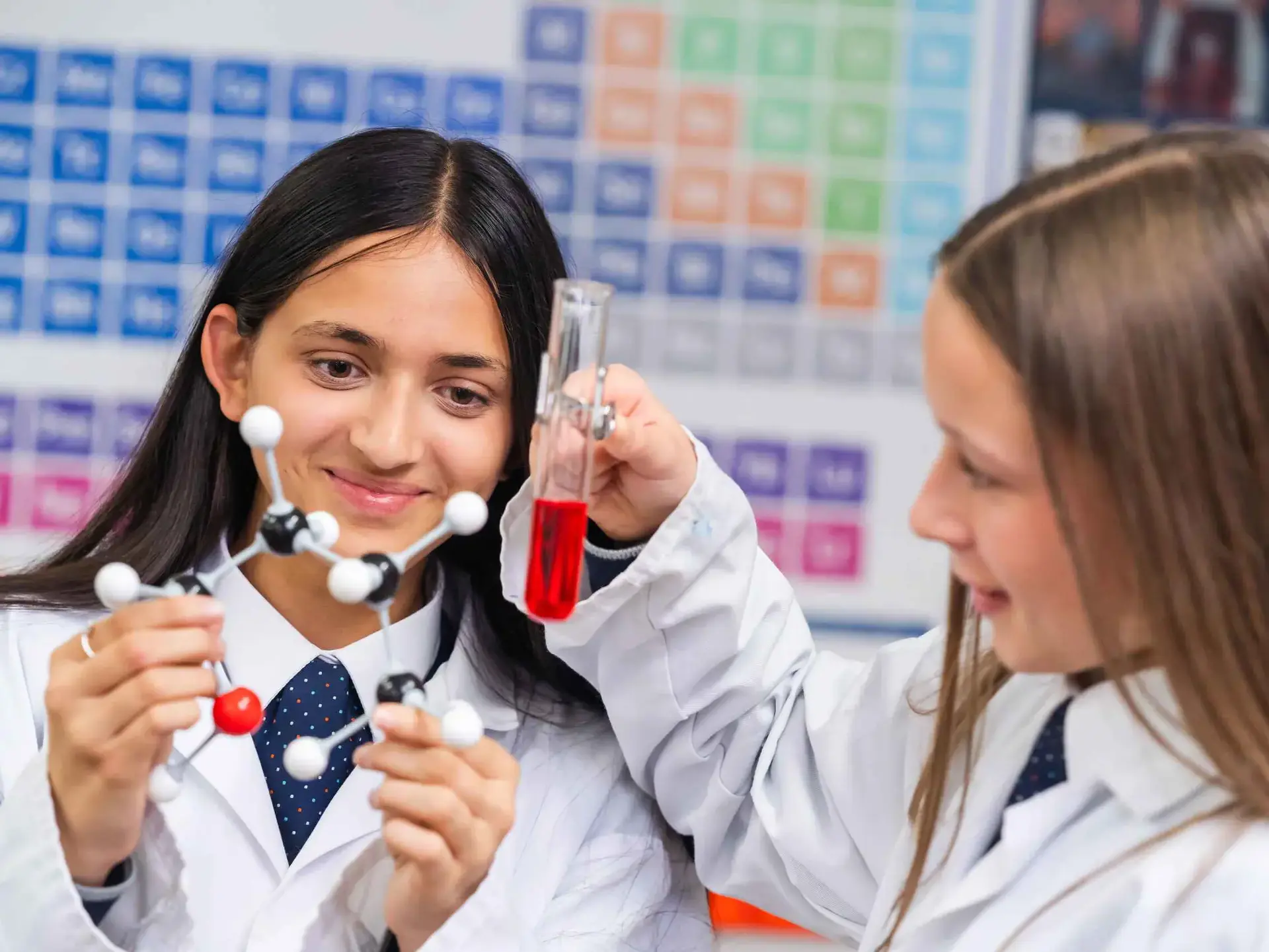 Students in Chemistry lesson
