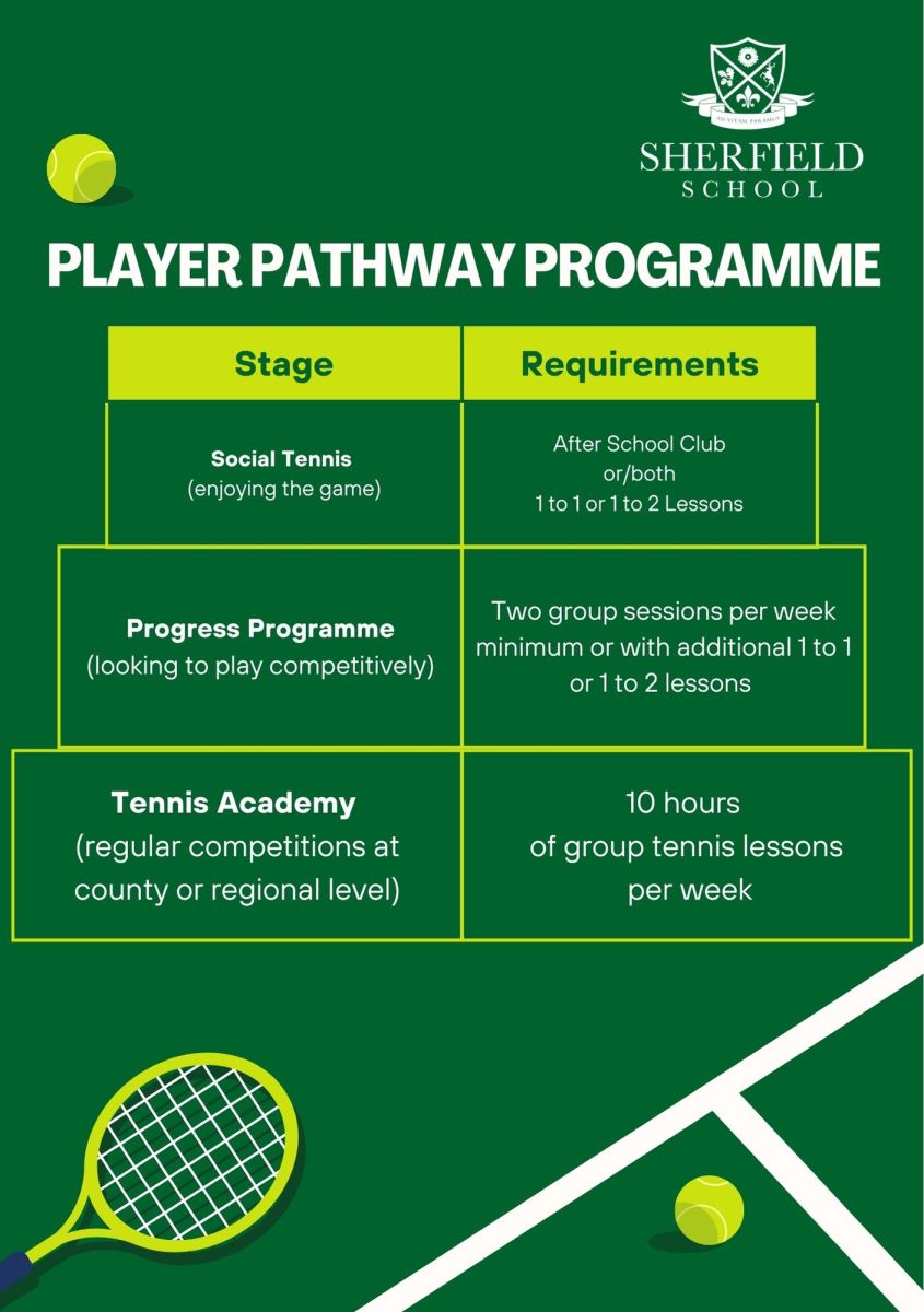 Diagram of player pathway programme