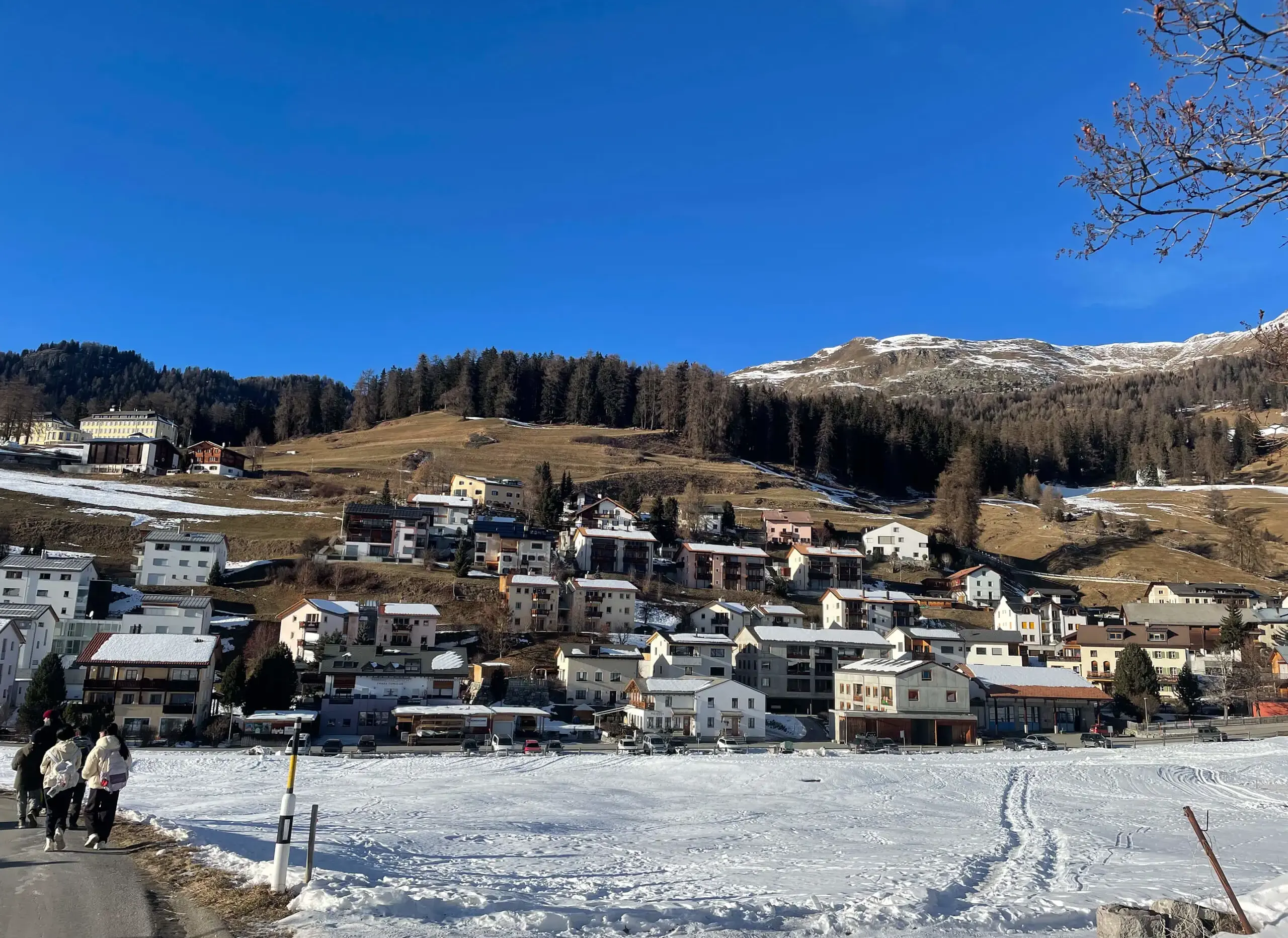 Mountain view in Switzerland visited by students of Sherfield School, a private school in Hampshire, as part of the Year 9 Ignite Programme