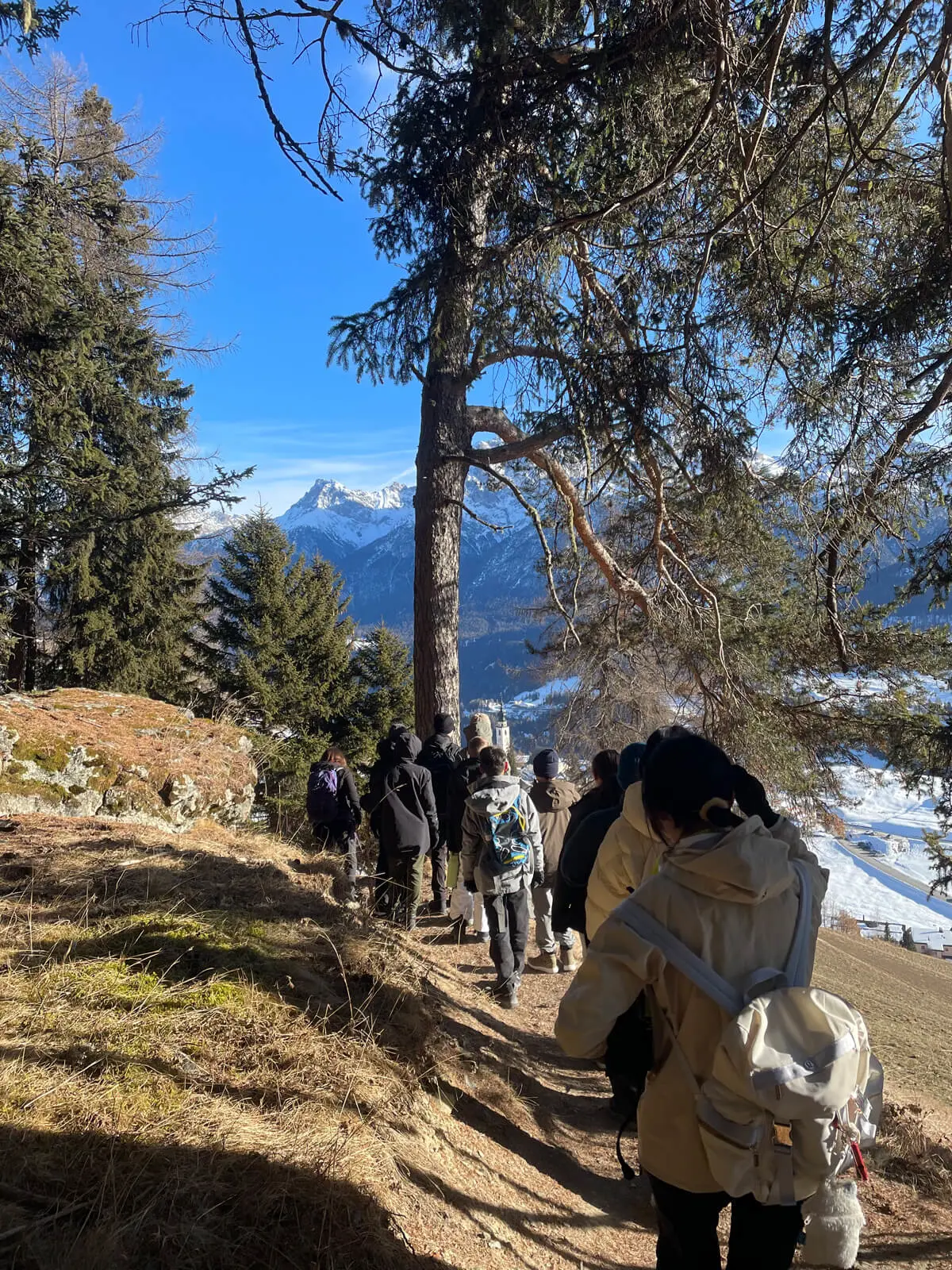 Swiss alps year 9 trip
