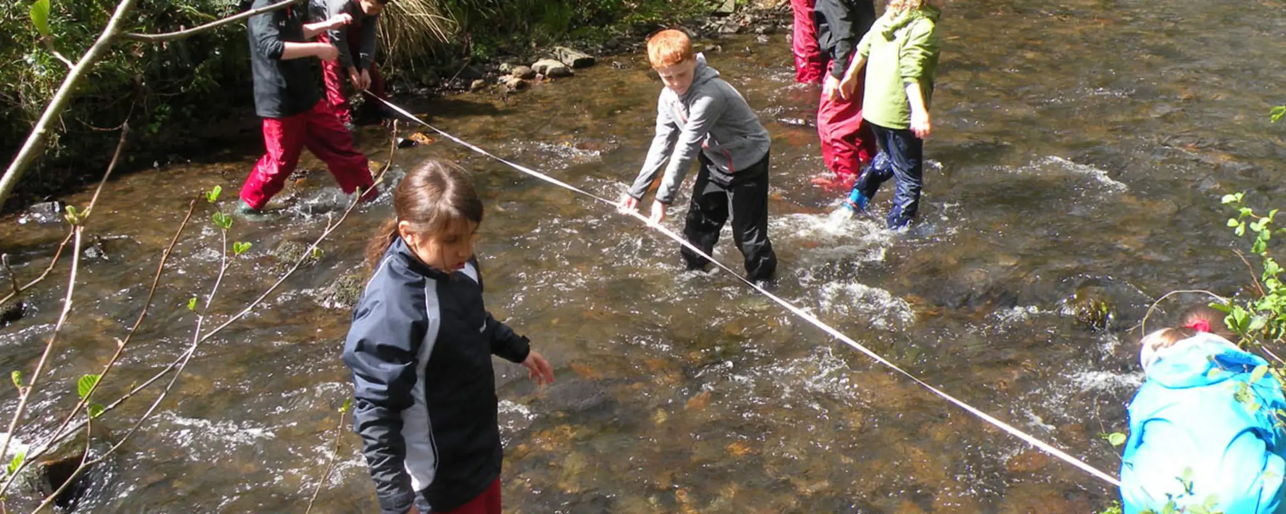Students pond-dipping